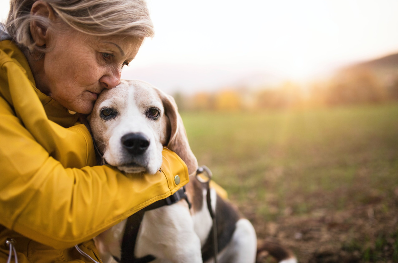 The Benefits of Adopting Senior Pets