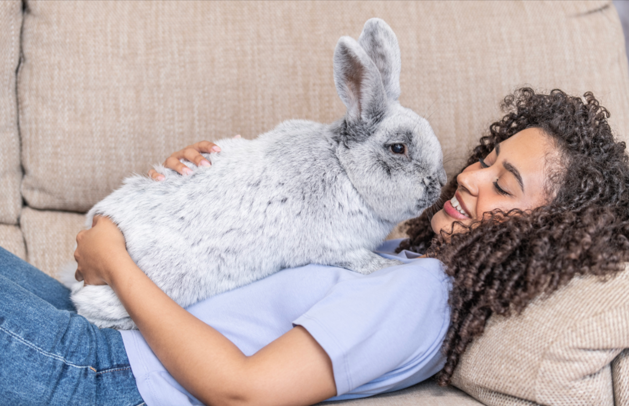 How to Train Your Rabbit to Do Tricks