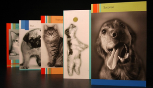 How to Create a Pet Memory Book