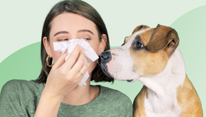 How to Train Your Dog to Detect Allergies