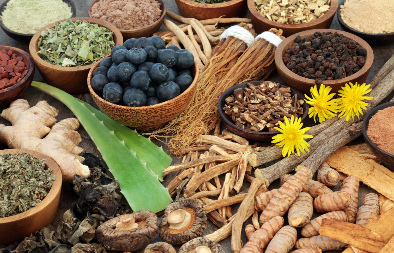 The Role of Adaptogens in Modern Wellness